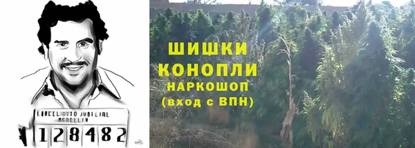apvp Арсеньев