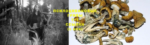 apvp Арсеньев